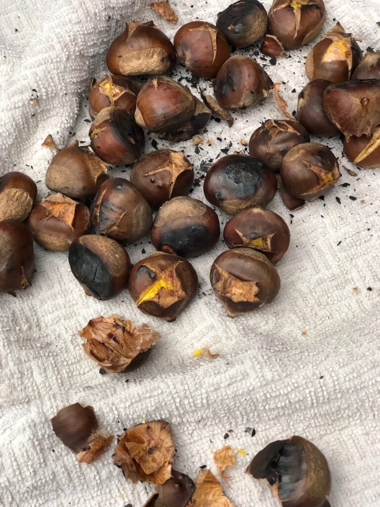 Roasted chestnuts spread out on a dish towel.