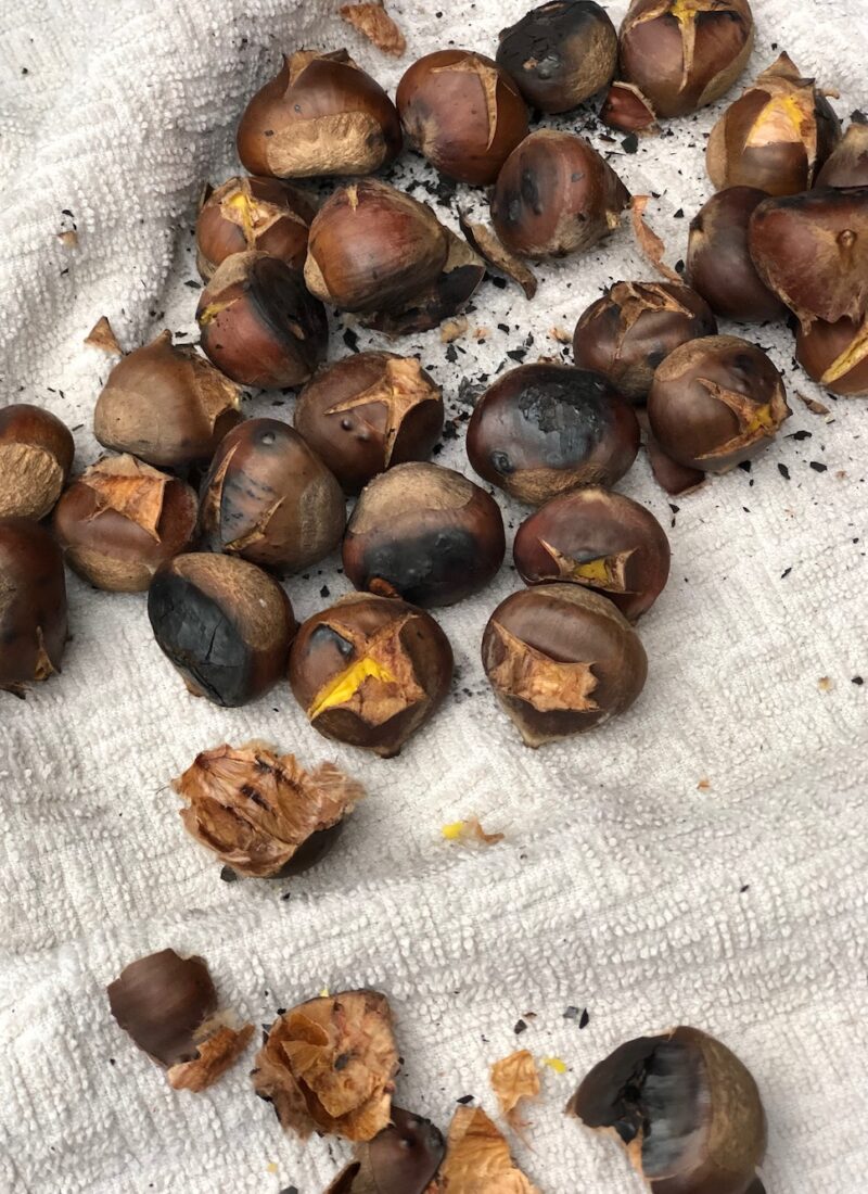 Roasted chestnuts spread out on a dish towel.