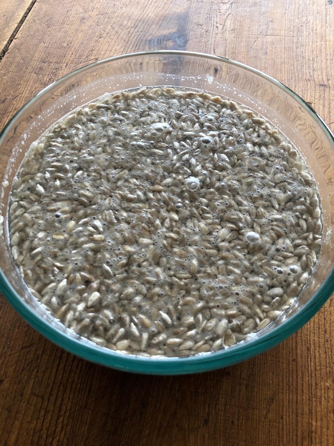 soaked sunflower seeds