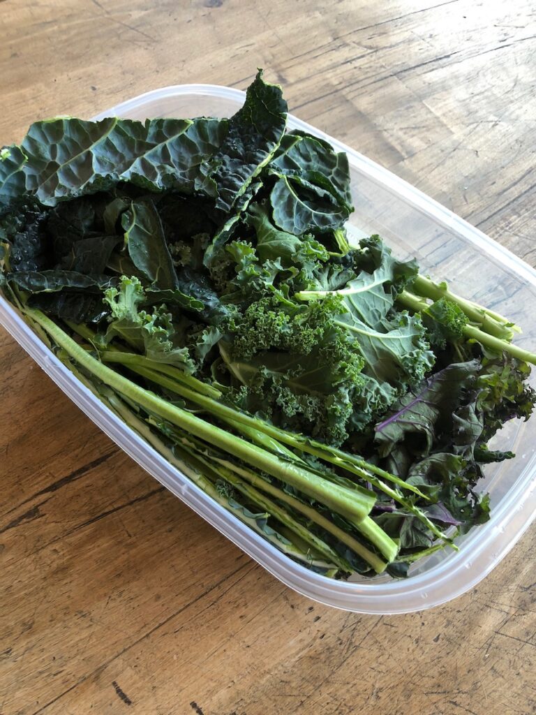 Cleaned and prepped Kale in an airtight container ready to store in the refrigerator.