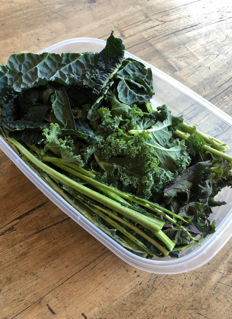 Cleaned and prepped Kale in an airtight container ready to store in the refrigerator.